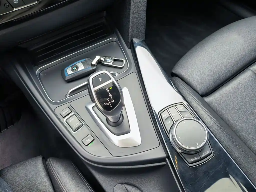 BMW 3 Series 3 2019 320Li M Sport