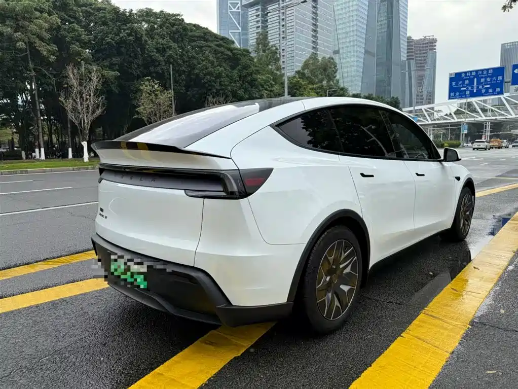 Tesla Model Y L