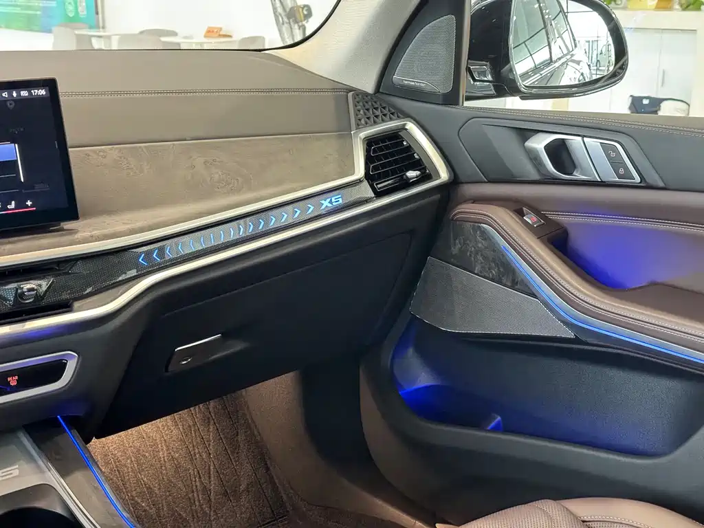BMW X5 — миниатюра 10