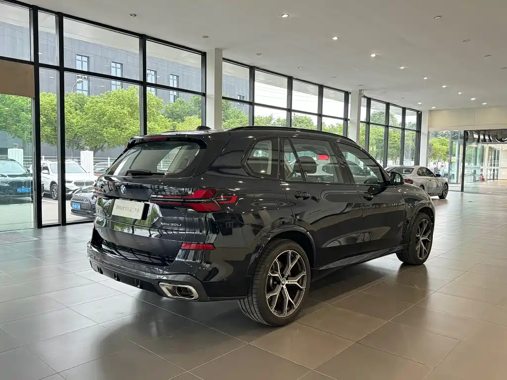 BMW X5 — миниатюра 15