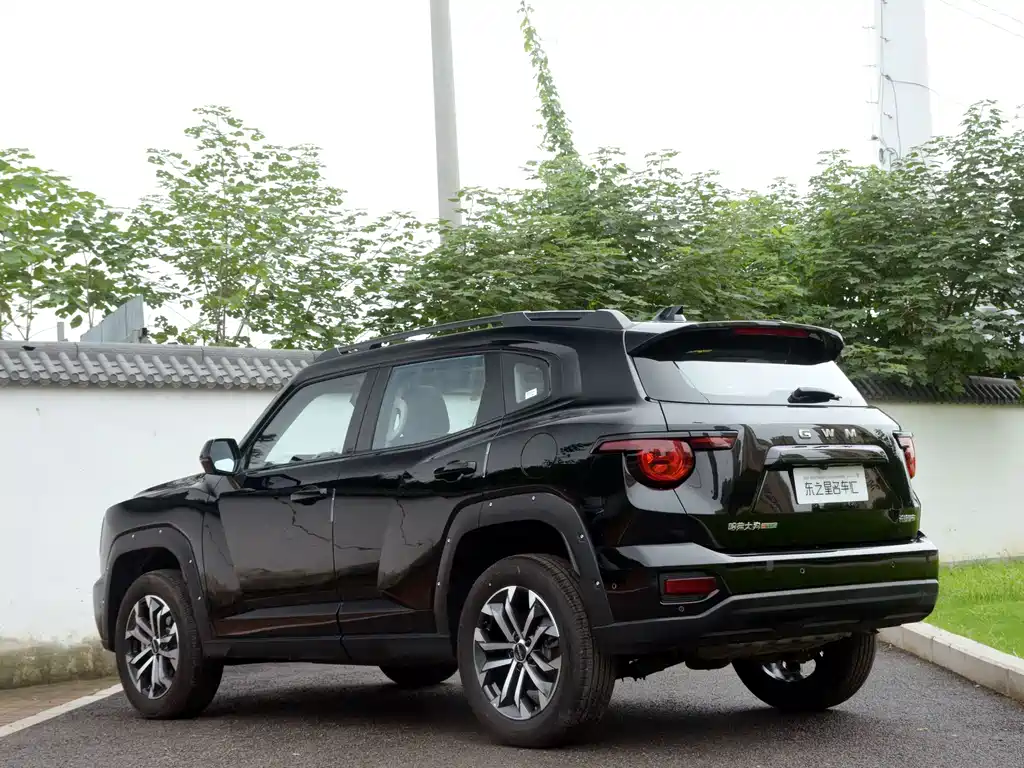 Haval Big Dog PLUS — миниатюра 5