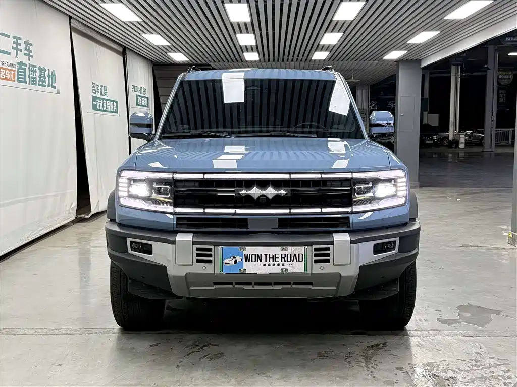 FANG CHENG BAO LEOPARD 5