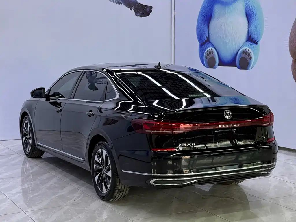 Volkswagen Passat — миниатюра 6