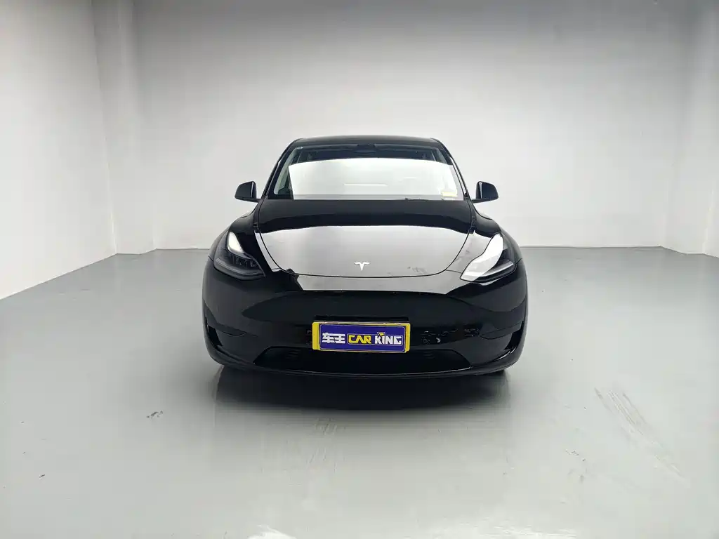 Tesla Model Y — миниатюра 2