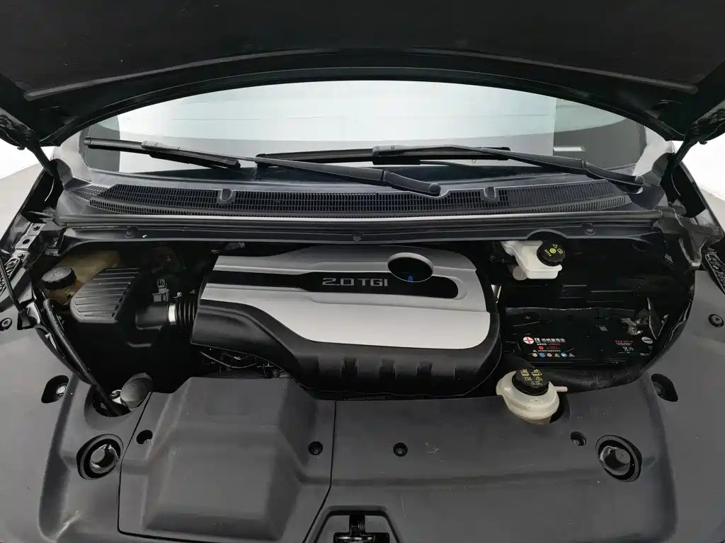 MAXUS G20 — миниатюра 6