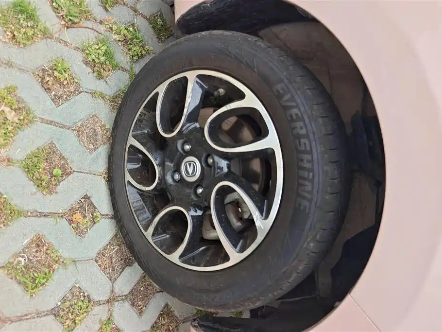Changan E-Star 2021 (31.86kWh)