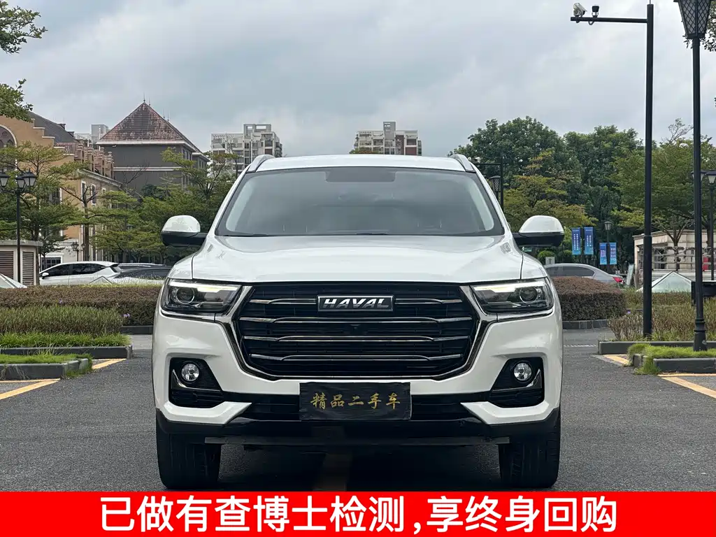 HAVAL  H6
