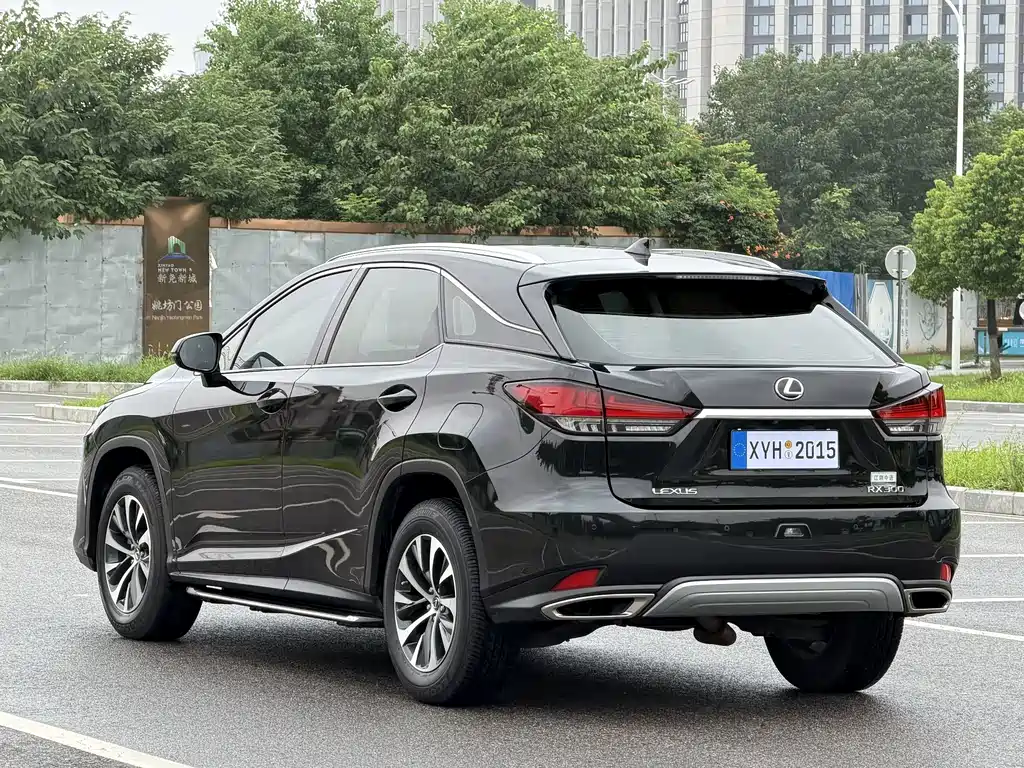 Lexus RX — миниатюра 18