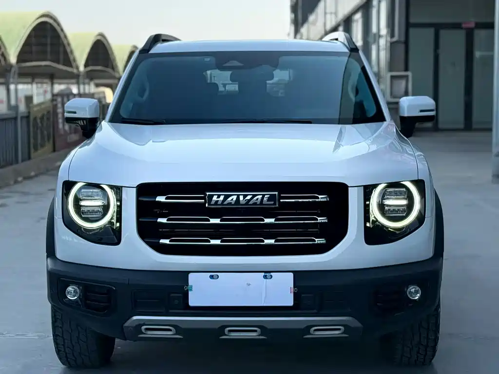 HAVAL BIG DOG