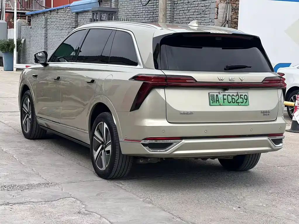 Wey Wey Lanshan — миниатюра 10