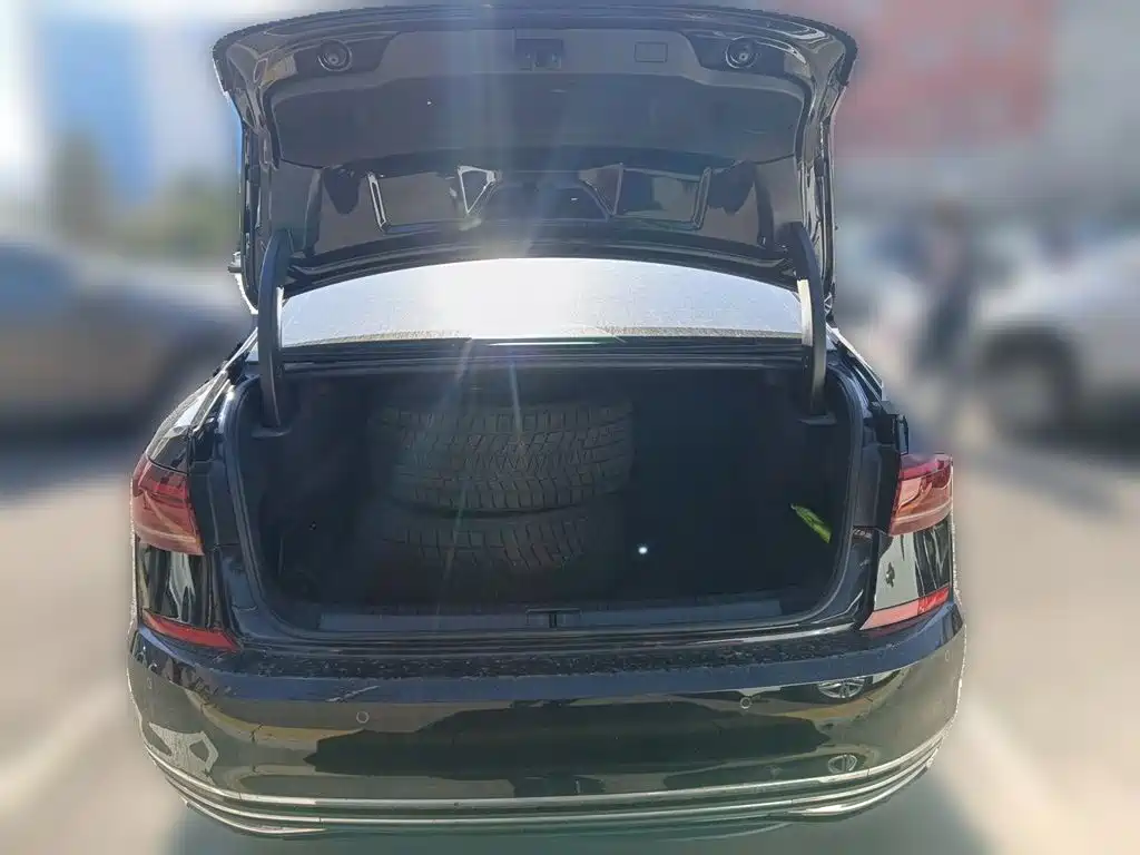 Volkswagen Passat — миниатюра 10