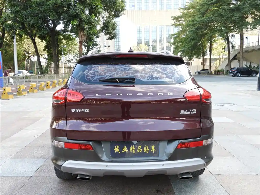 CHEETAH CARS CHEETAH CS10