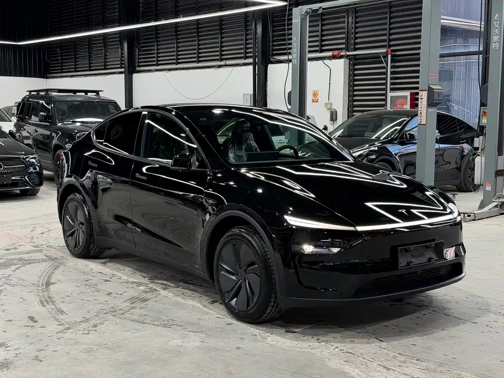 Tesla Model Y — миниатюра 3