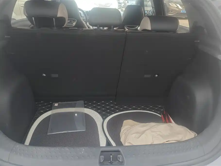 BYD Dolphin 2023 420km Fashion