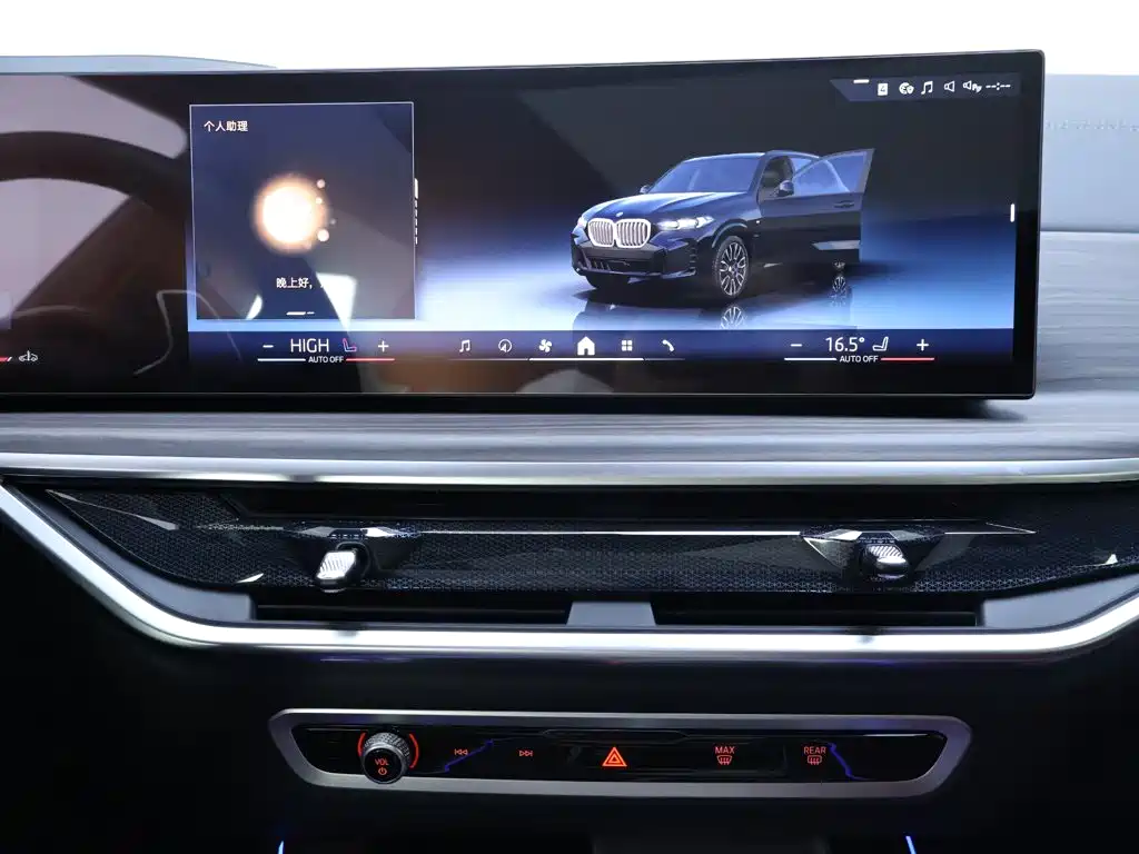 BMW X5 — миниатюра 10