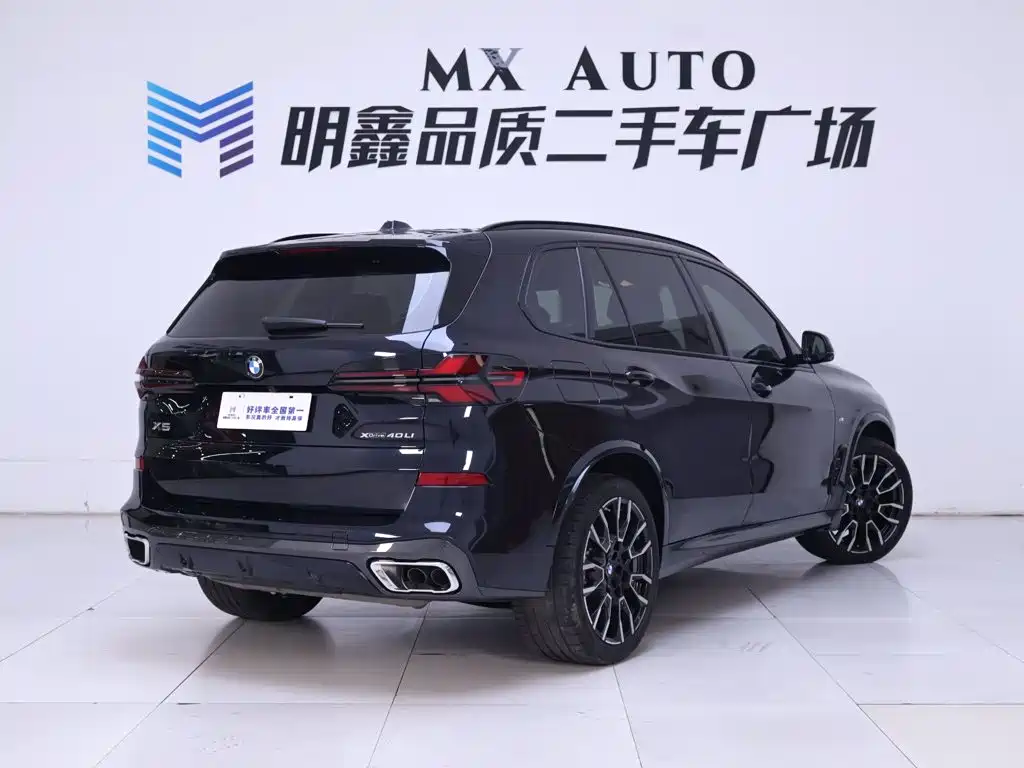 BMW X5 — миниатюра 7