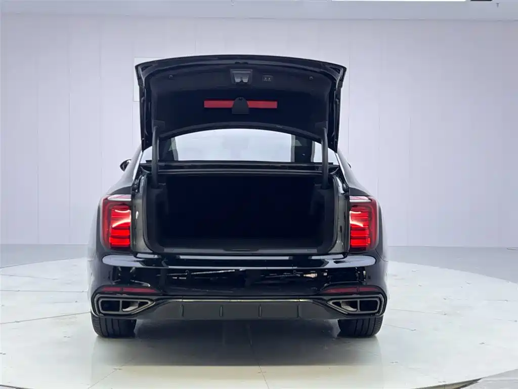 Hongqi H9 2024 2.0T