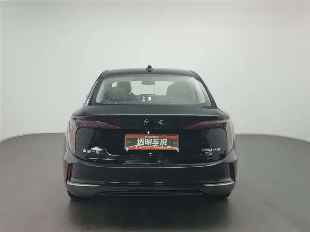 Hongqi HONGQI E QM5