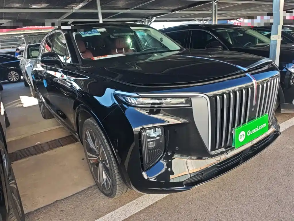 Hongqi Hongqi E-HS9 — миниатюра 4