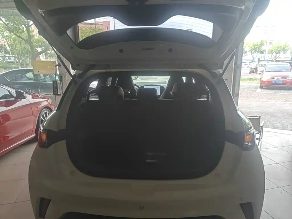 BYD Dolphin — миниатюра 19