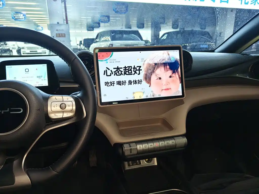 BYD Dolphin — миниатюра 13