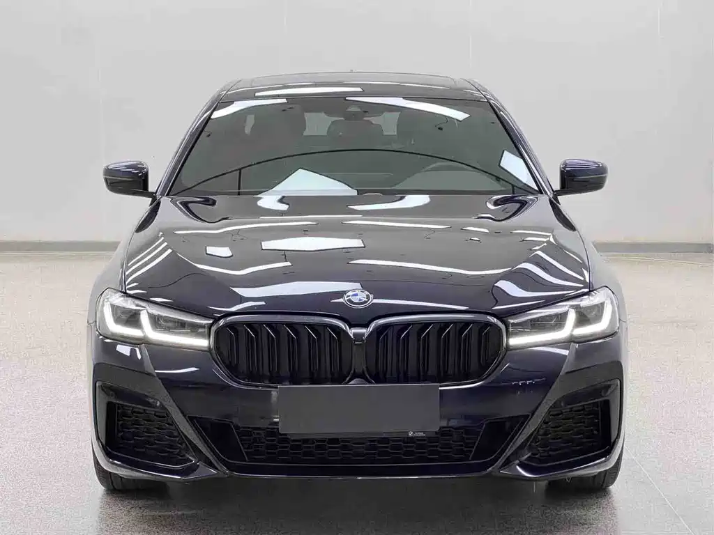 BMW 5 Series — миниатюра 2