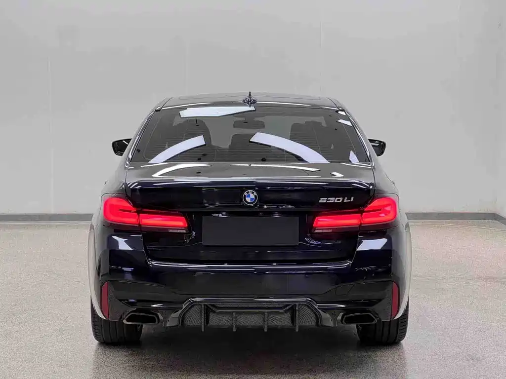 BMW 5 Series — миниатюра 31