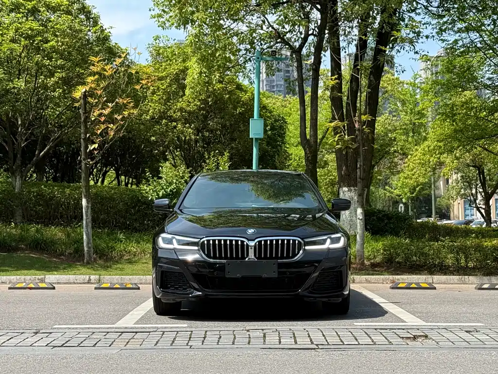 BMW 5 Series 5 2023 530Li Premium M Sport