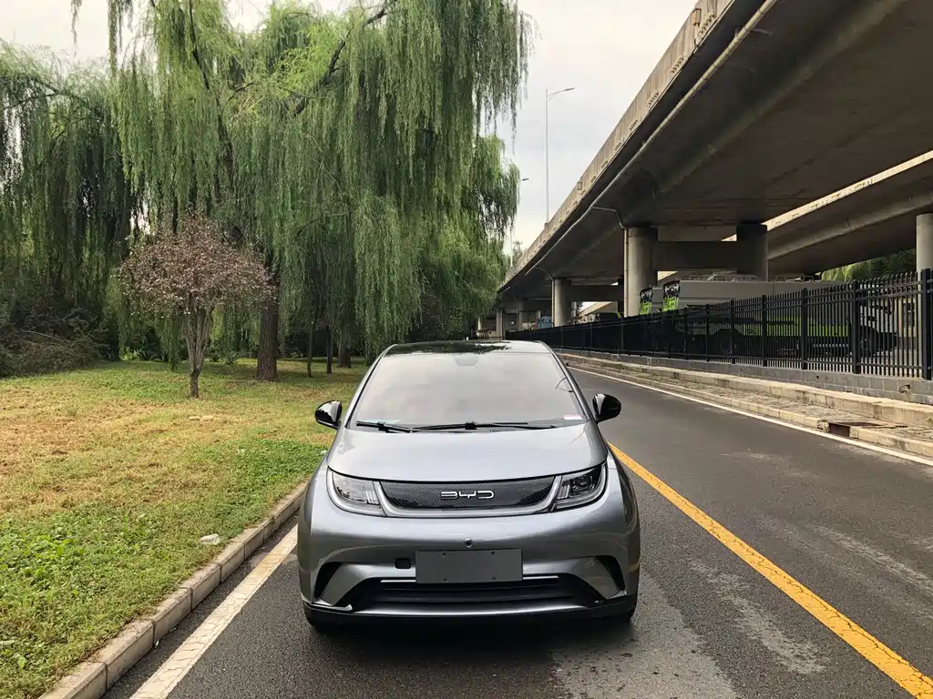 BYD Dolphin — миниатюра 2