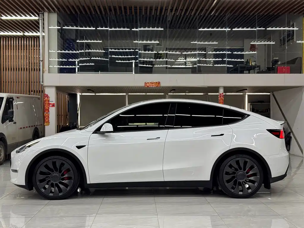 Tesla Model Y — миниатюра 3