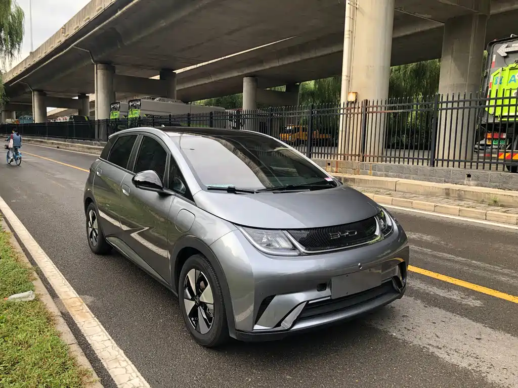BYD Dolphin — миниатюра 3