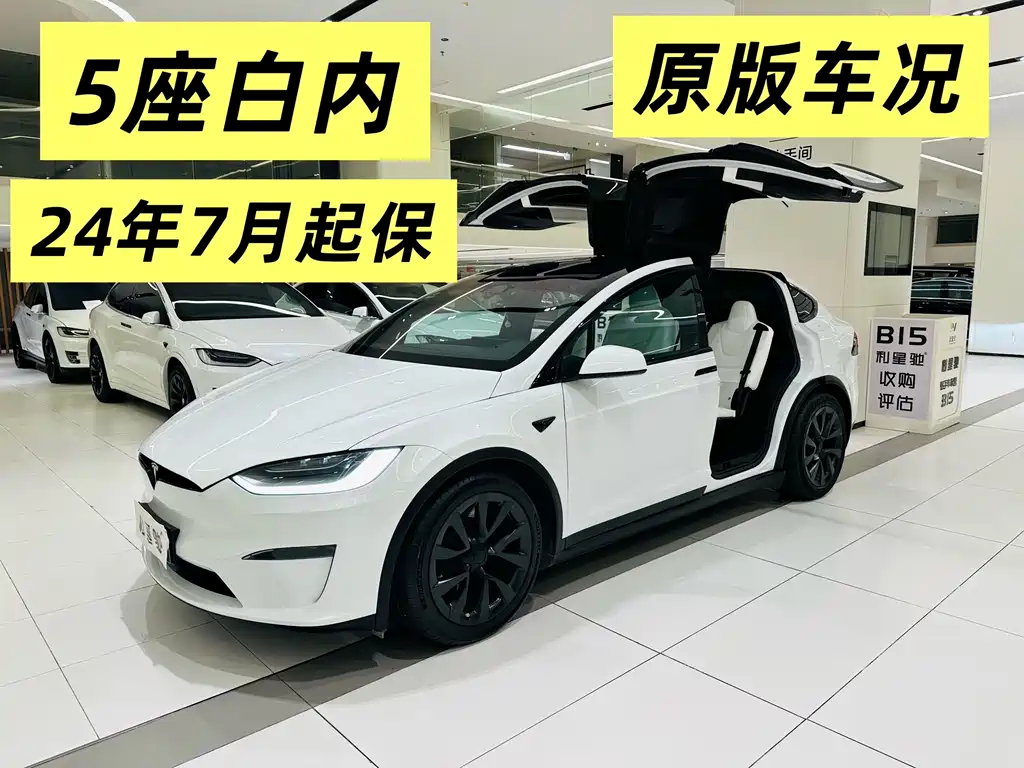 Tesla Model X — миниатюра 15