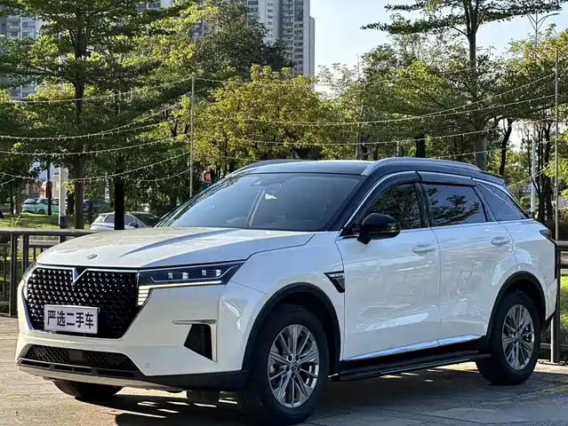 QICHEN XING 2021