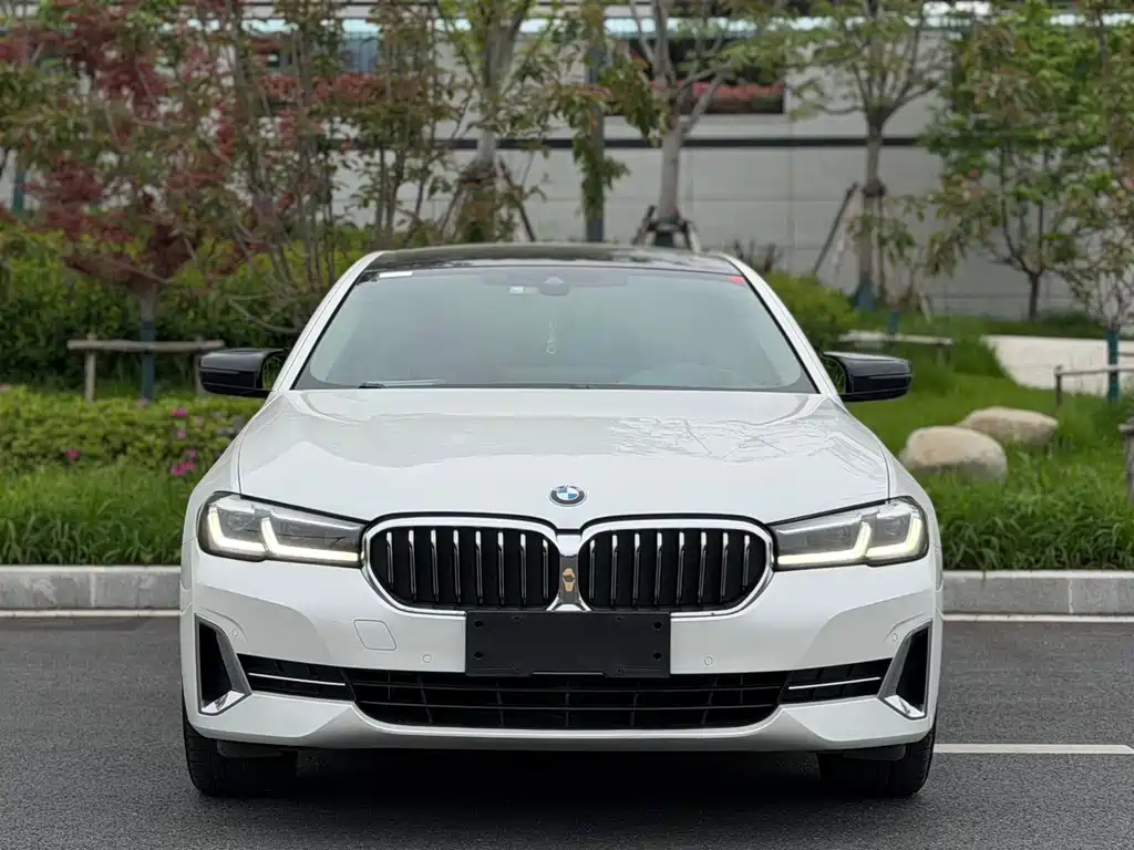 BMW 5 Series 5 2023 530Li Lead Luxury