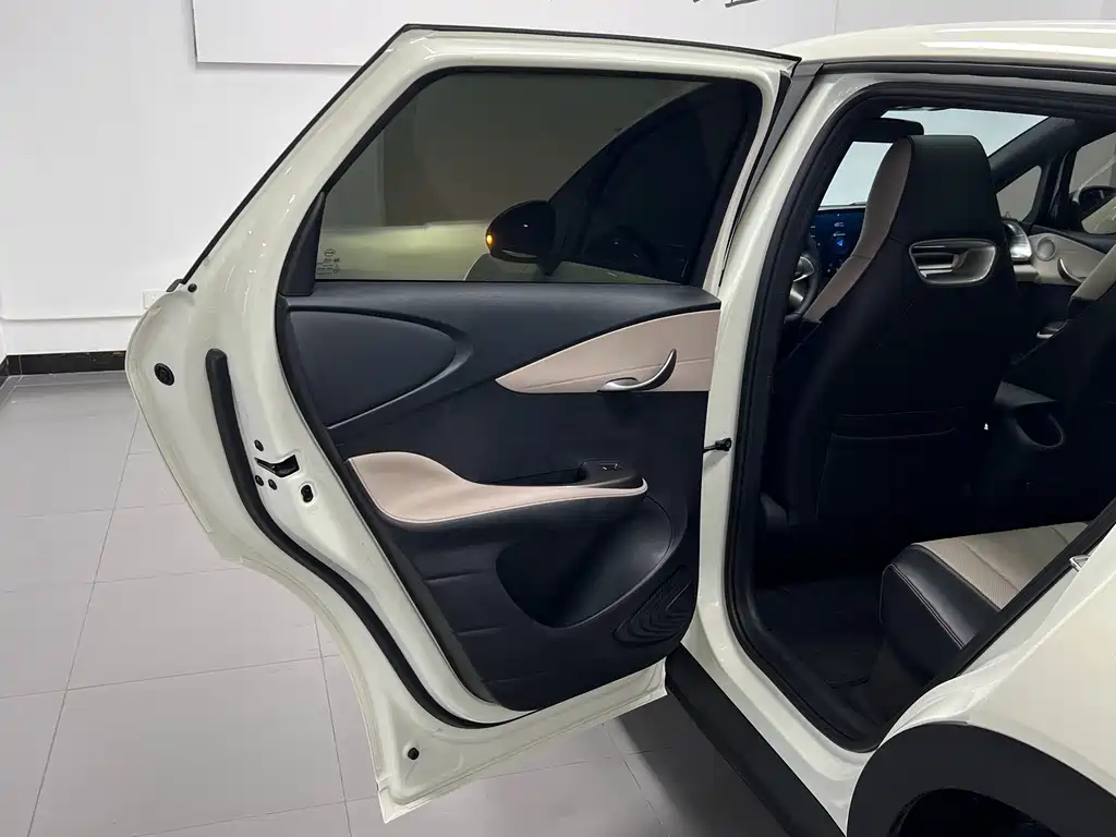 BYD Dolphin — миниатюра 27