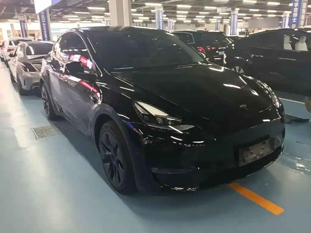 Tesla Model Y — миниатюра 4