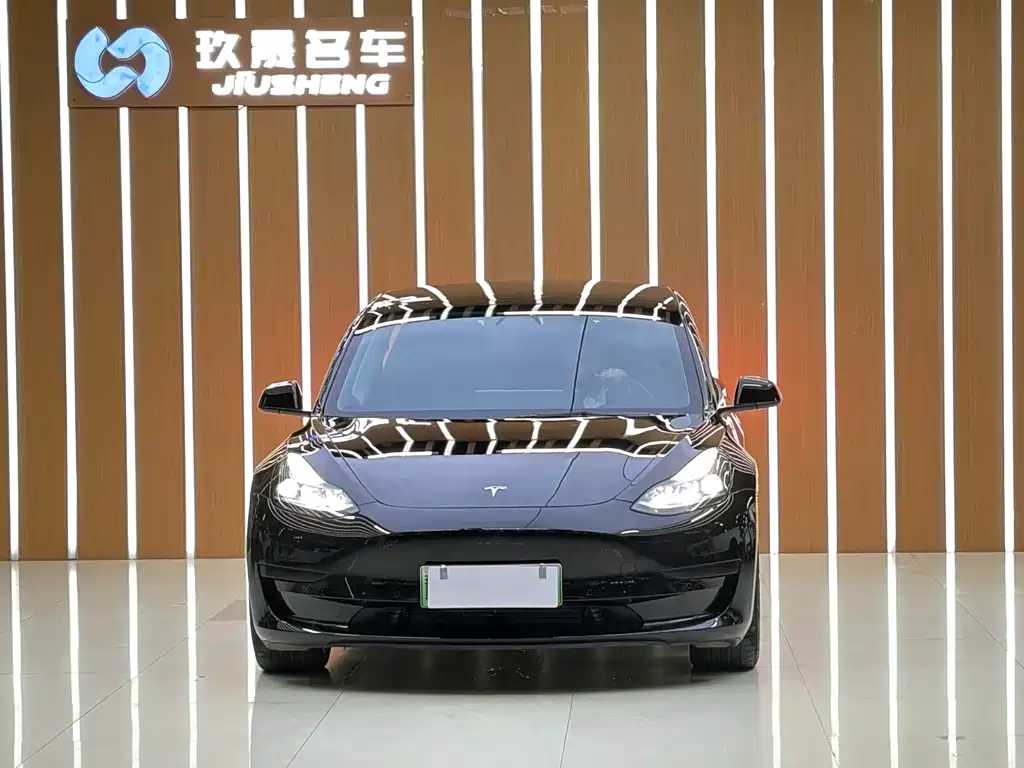 Tesla Model 3 — миниатюра 2