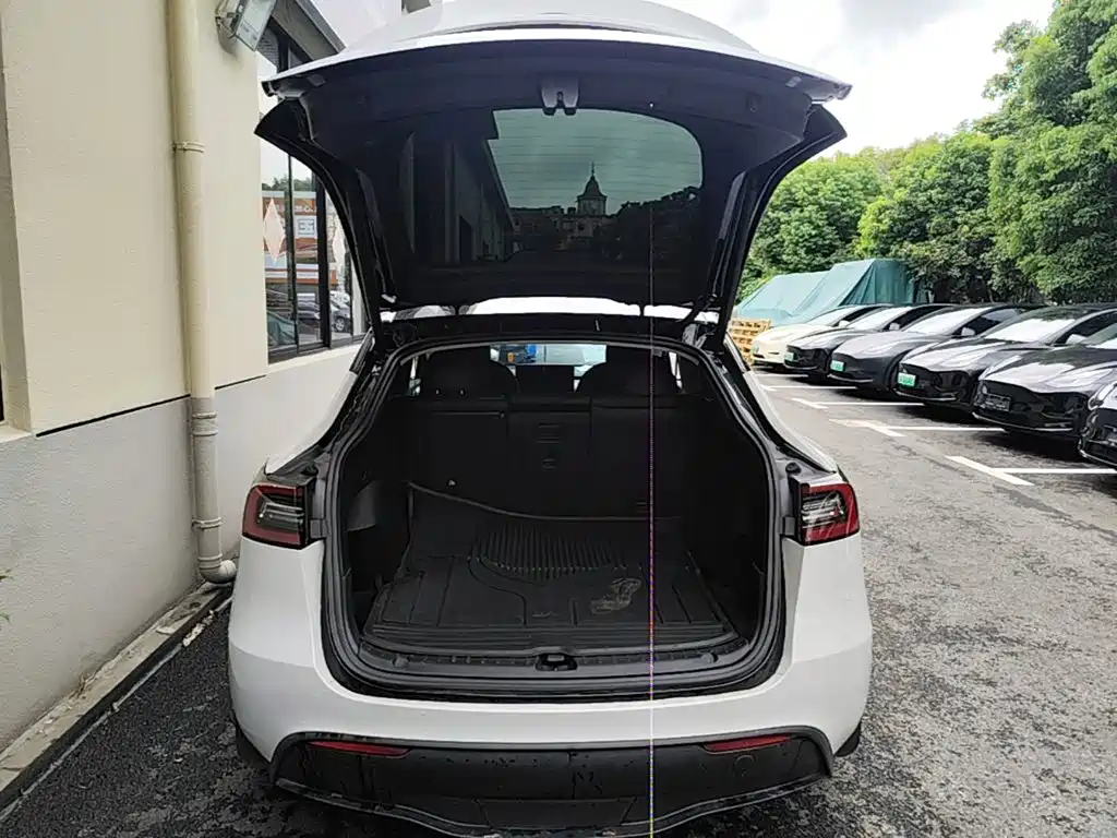 Tesla Model Y — миниатюра 19