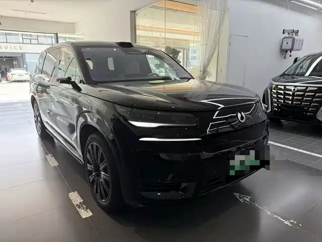 2025 Denza N9