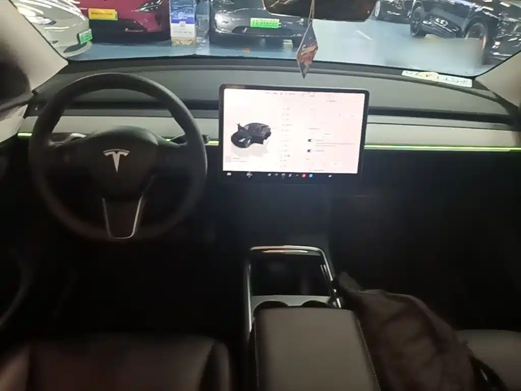 Tesla Model Y — миниатюра 10