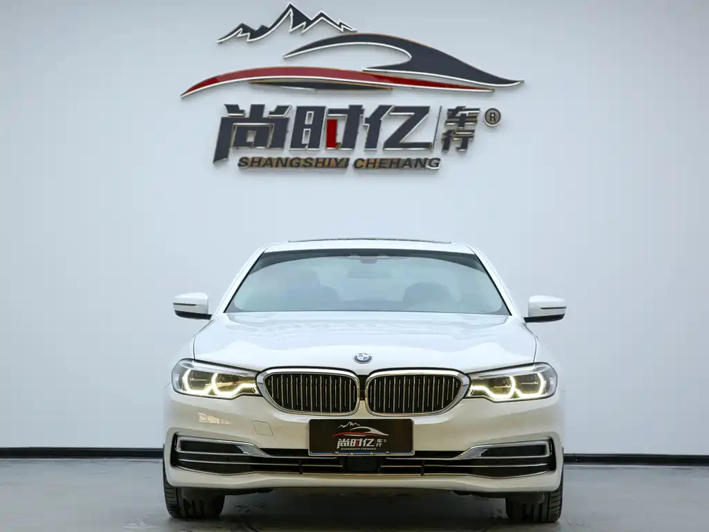 BMW 5 Series 5 2020 530Li Lead Luxury