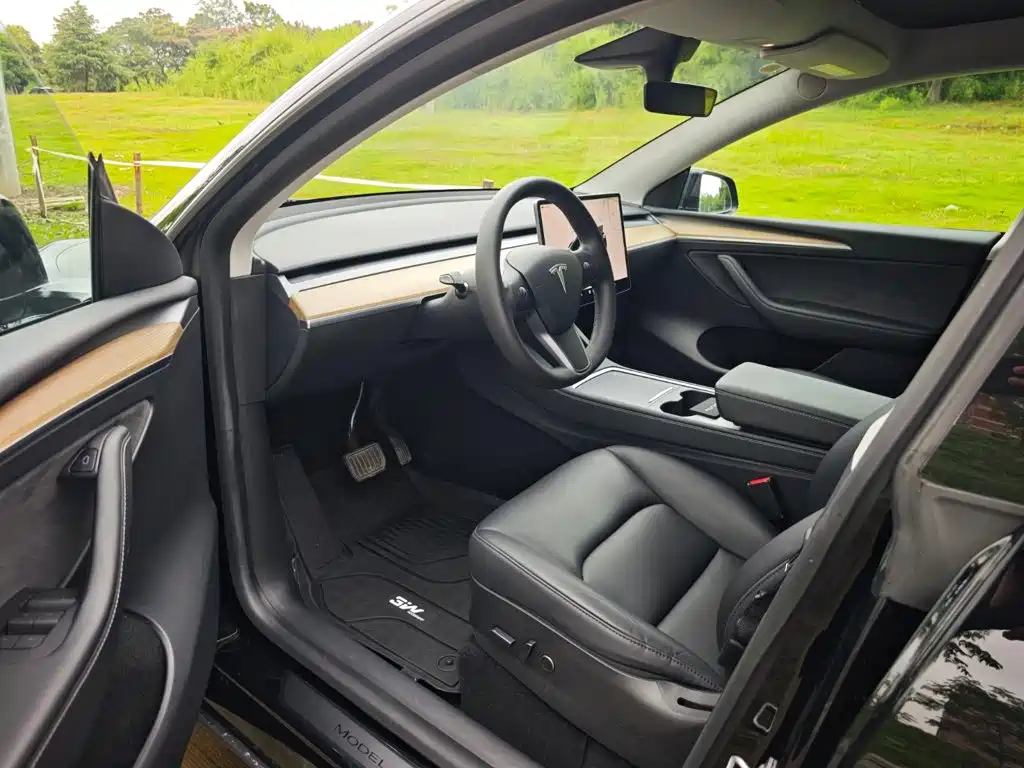Tesla Model Y — миниатюра 7