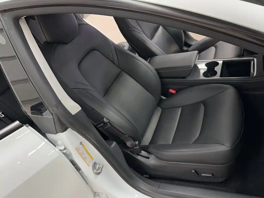 Tesla Model 3 — миниатюра 19