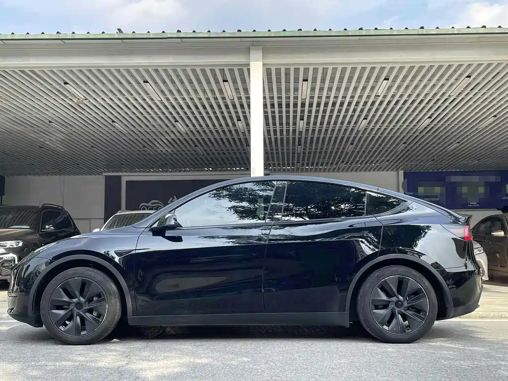 Tesla Model Y — миниатюра 2