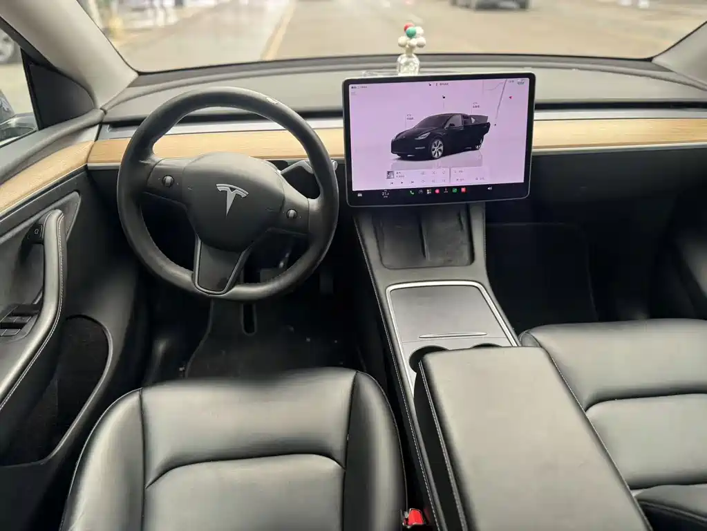 Tesla Model Y — миниатюра 6