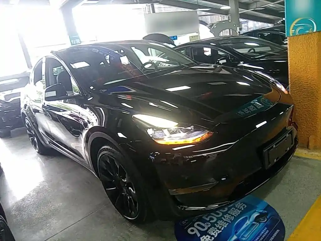 Tesla Model Y — миниатюра 4