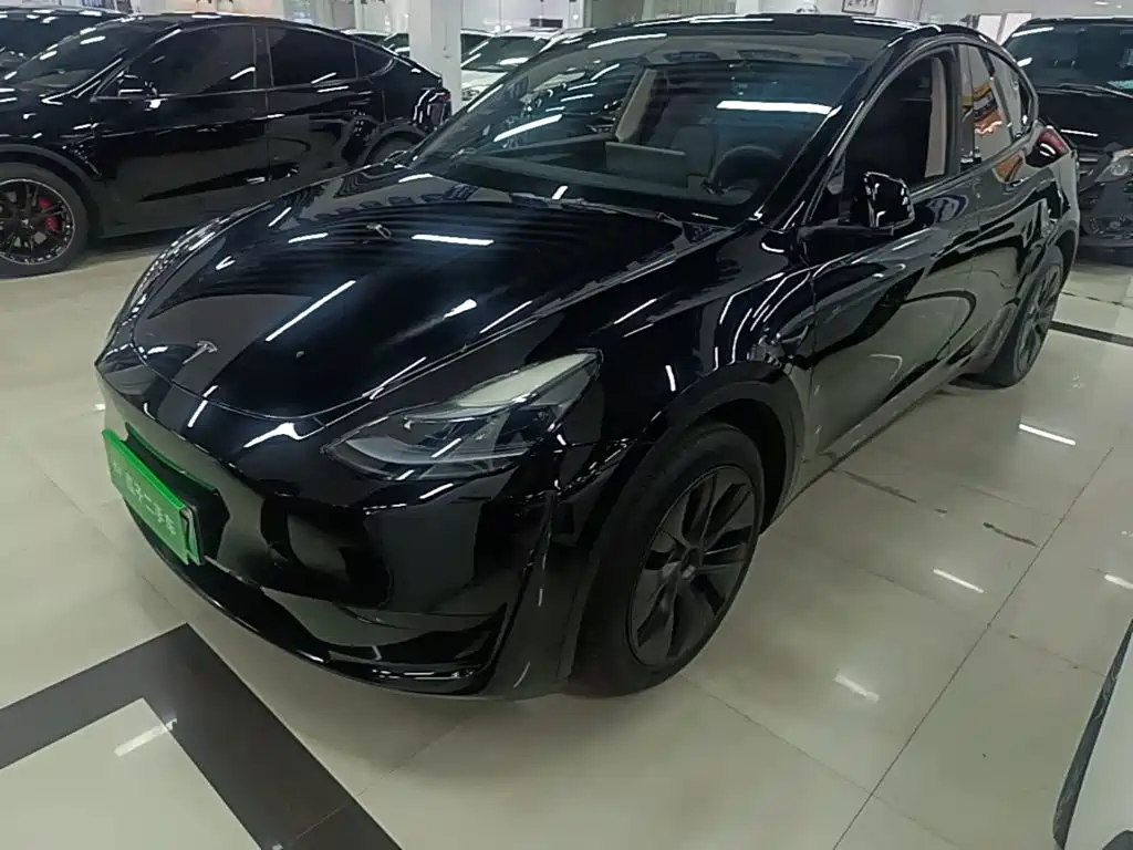 Tesla Model Y — миниатюра 2