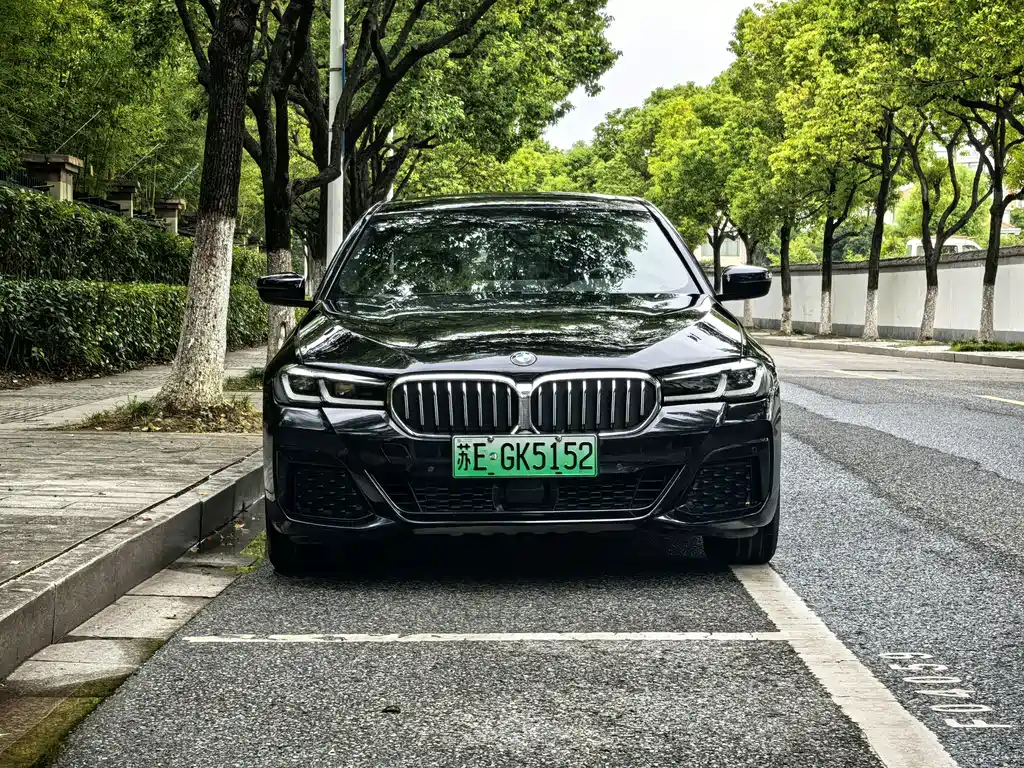 BMW 5 Series New Energy — миниатюра 2