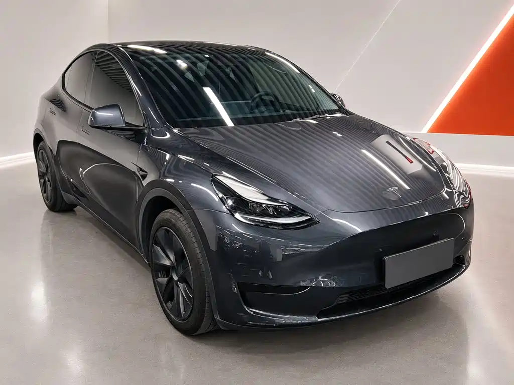 Tesla Model Y — миниатюра 3