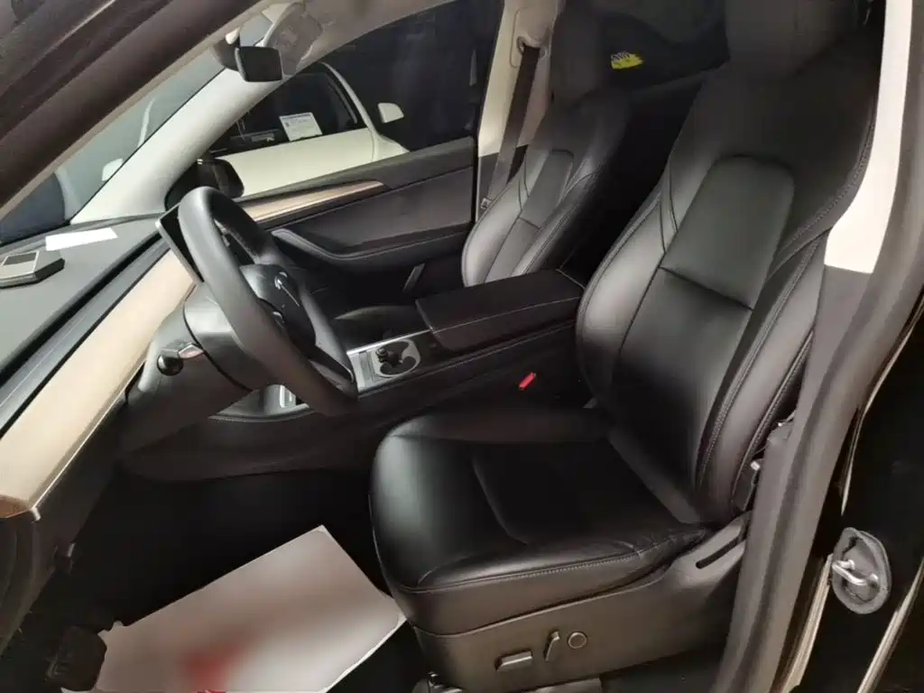 Tesla Model Y — миниатюра 15